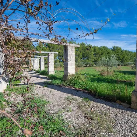 Agrumeta - Private Natural Bio Pool - Happy * Lecce